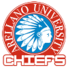 阿雷利亚诺大学酋长